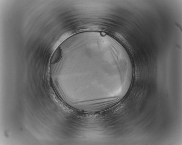 X0000100761378200807171332