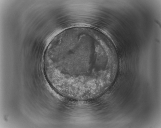 X0000100761379200807171332