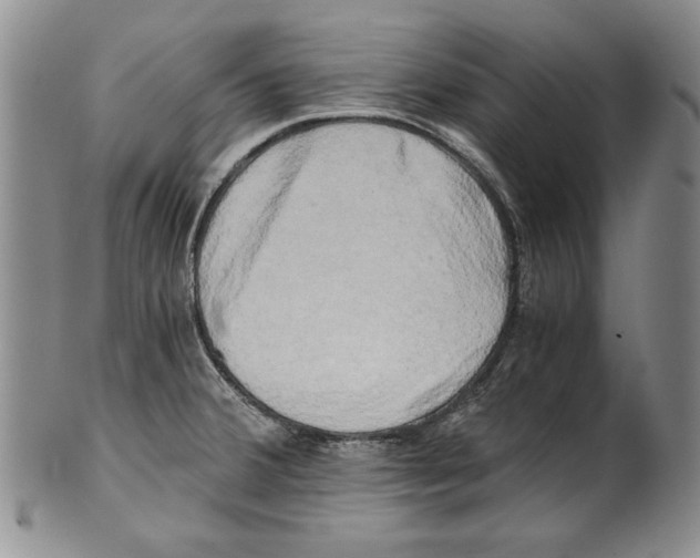 X0000100761380200807171332