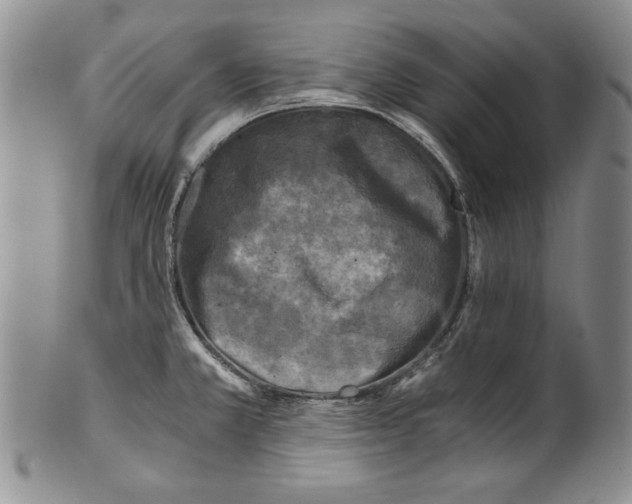 X0000100761381200807171332