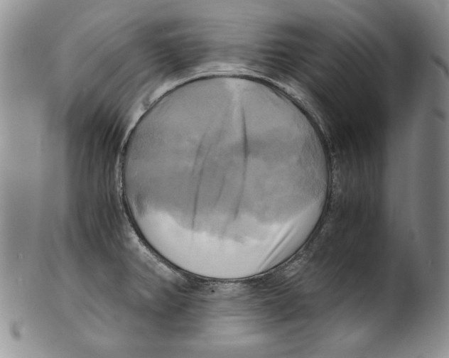 X0000100761382200807171332