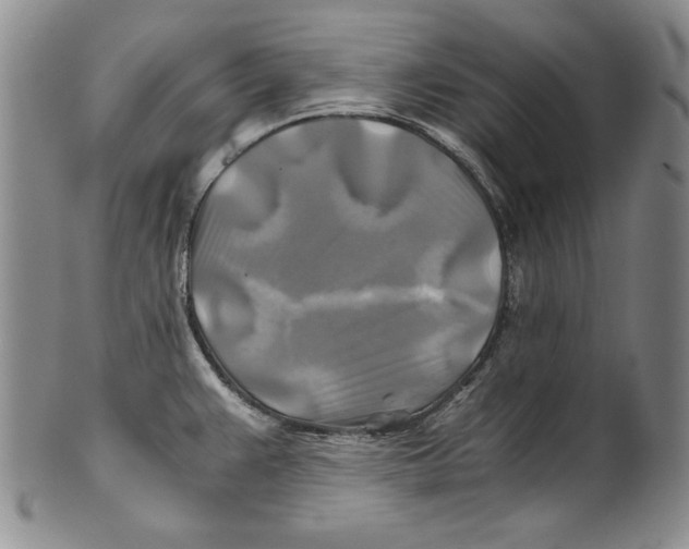 X0000100761383200807171332