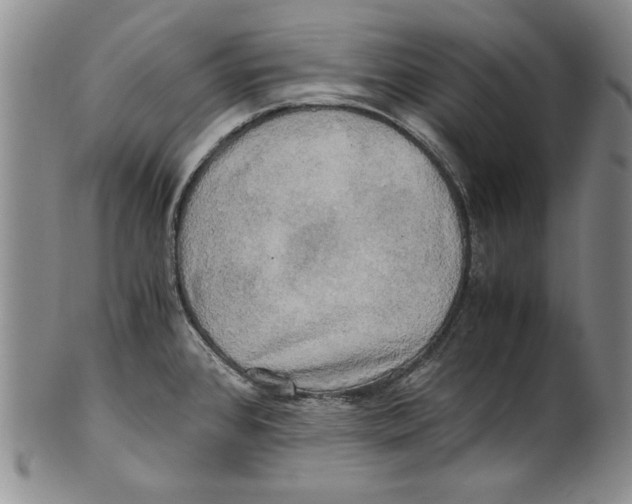 X0000100761384200807171332