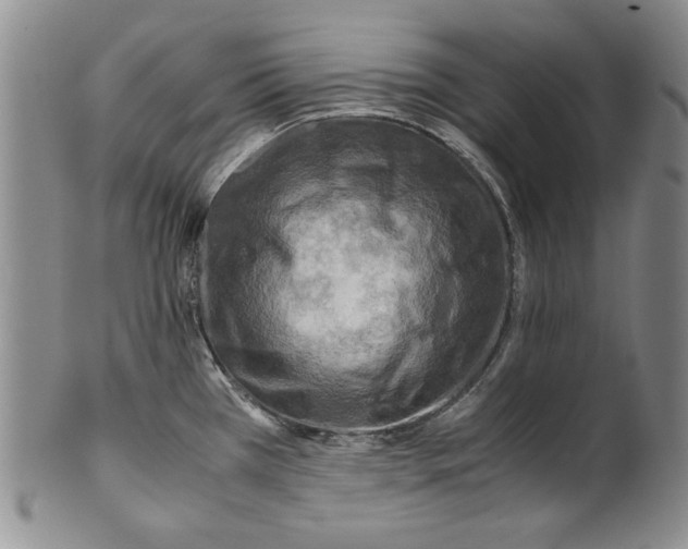 X0000100761385200807171332