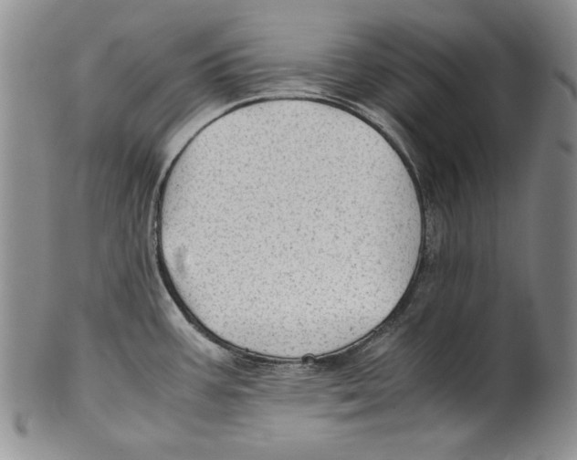 X0000100761387200807171332