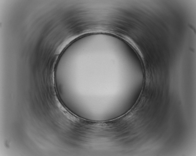 X0000100761388200807171332