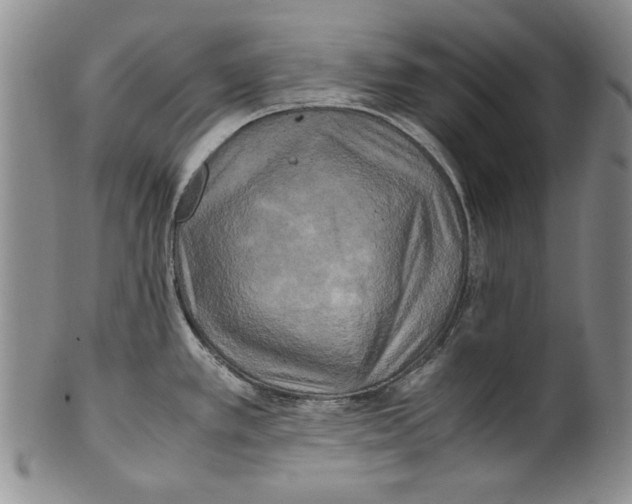 X0000100761389200807171331