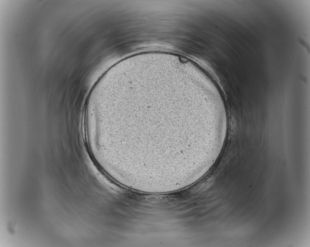 X0000100761391200807171331