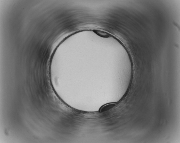 X0000100761392200807171331