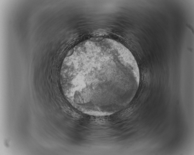 X0000100761393200807171331