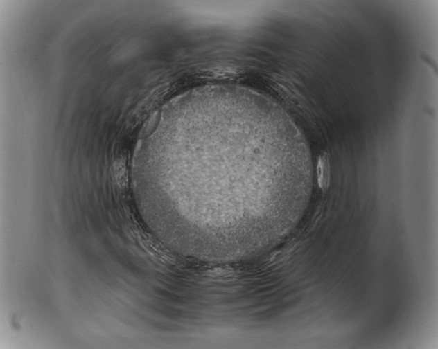 X0000100761395200807171331