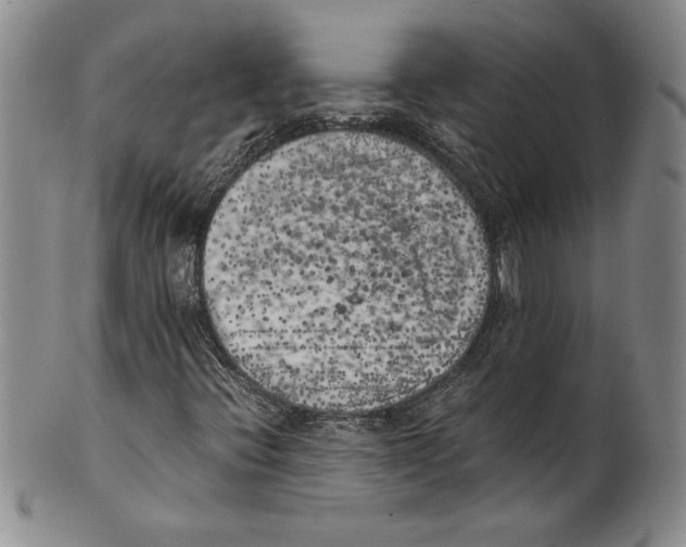 X0000100761396200807171331