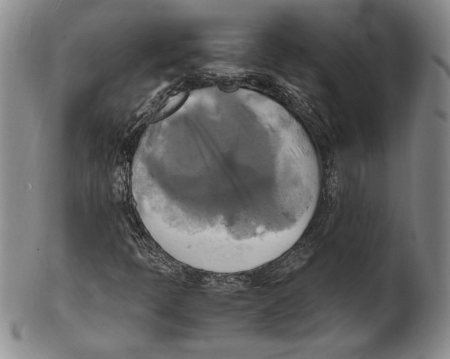 X0000100761397200807171331