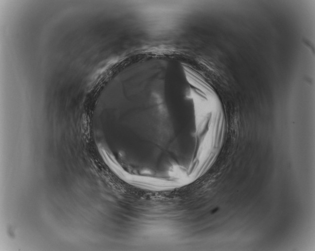 X0000100761398200807171331