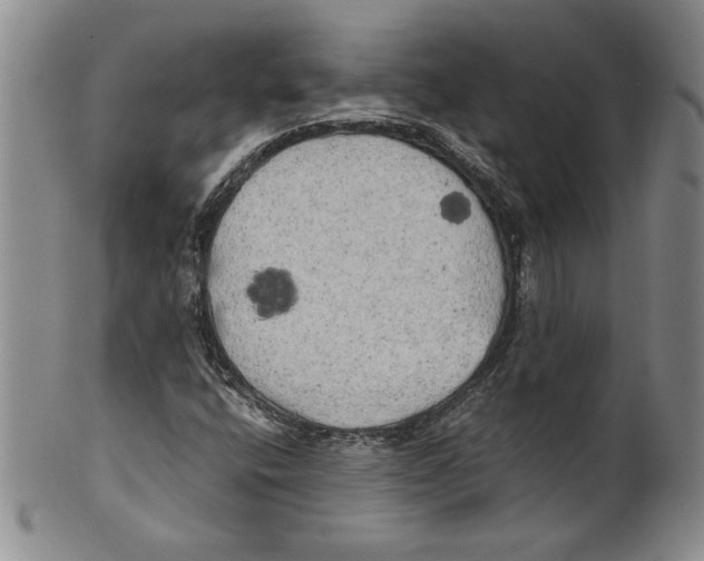X0000100761400200807171331