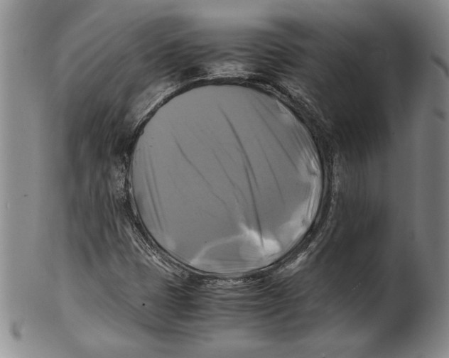 X0000100761401200807171331