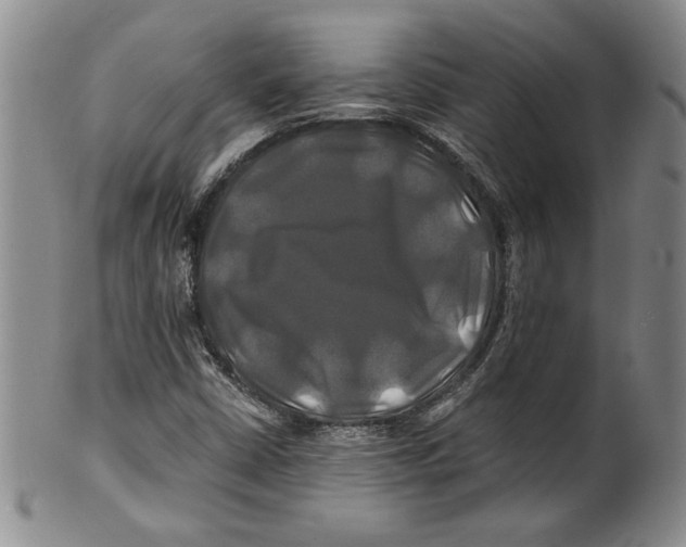 X0000100761402200807171331