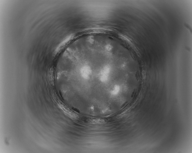 X0000100761403200807171331