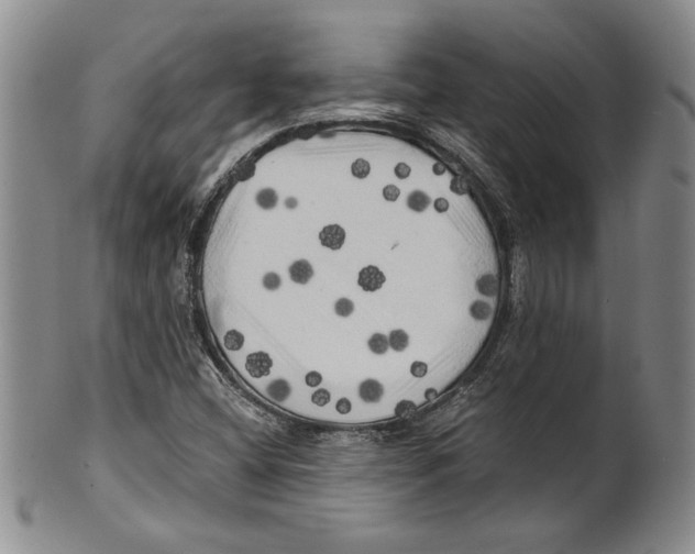 X0000100761404200807171331