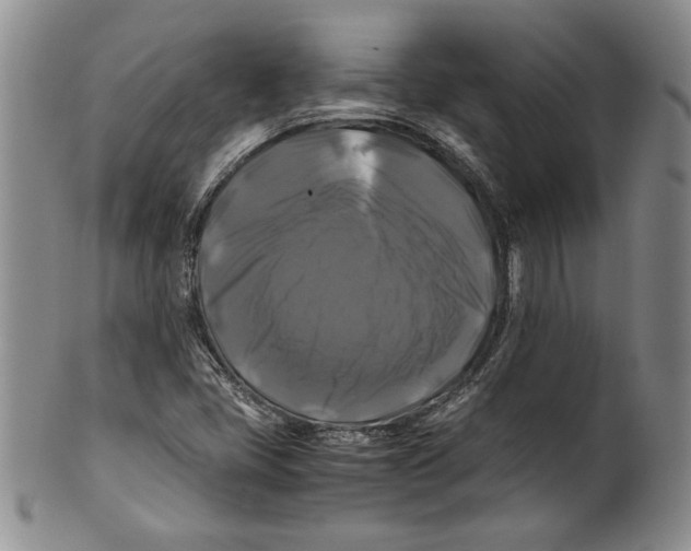 X0000100761405200807171331