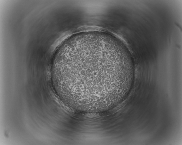 X0000100761407200807171331
