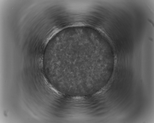 X0000100761409200807171331
