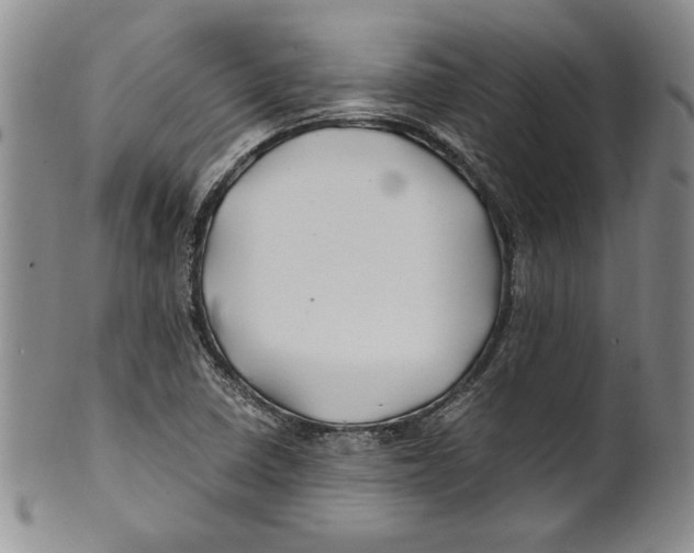 X0000100761410200807171331