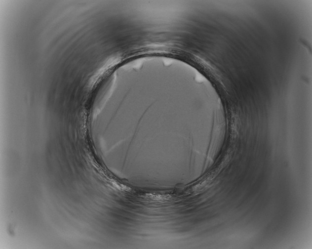 X0000100761411200807171331