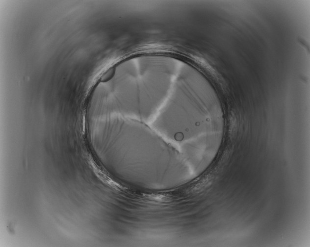 X0000100761413200807171331