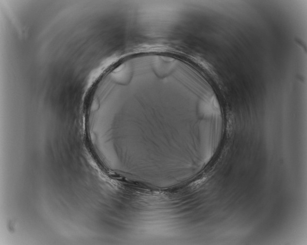 X0000100761414200807171331