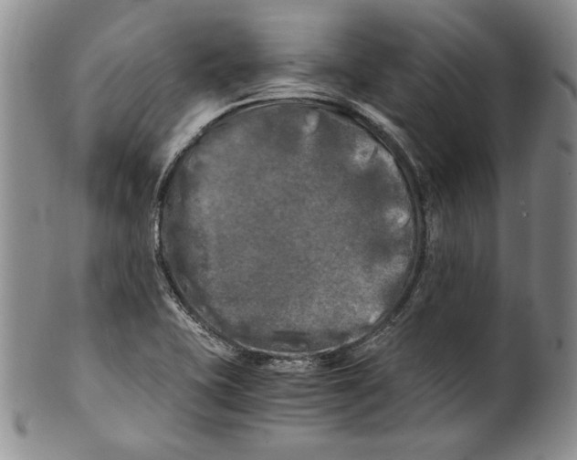 X0000100761415200807171331