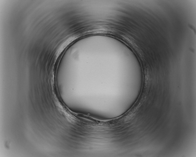 X0000100761418200807171331