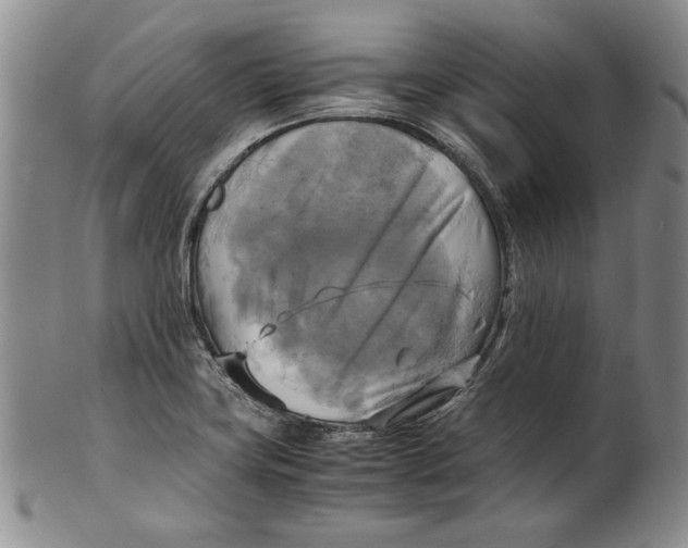 X0000100761419200807171331