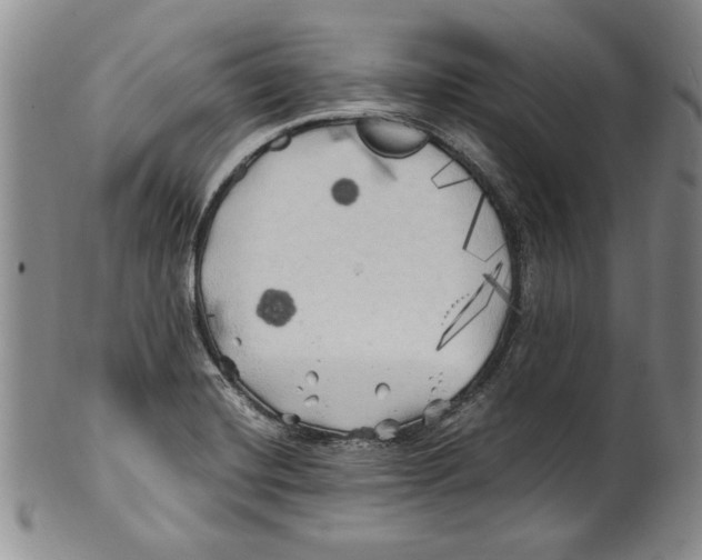 X0000100761420200807171331