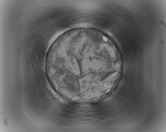 X0000100761421200807171331