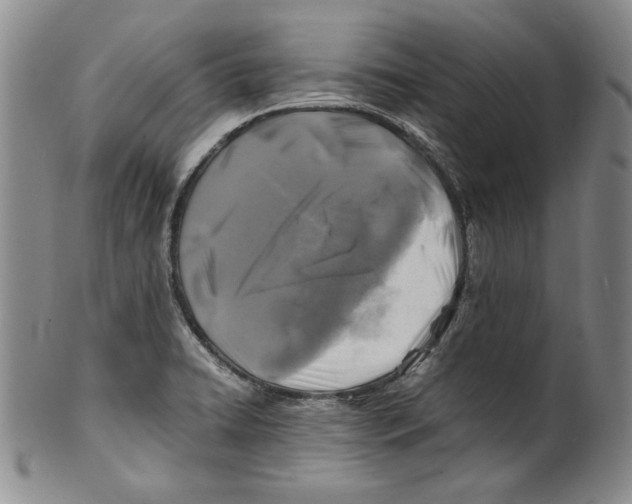 X0000100761422200807171331