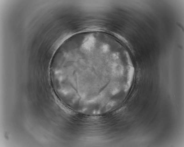 X0000100761423200807171331