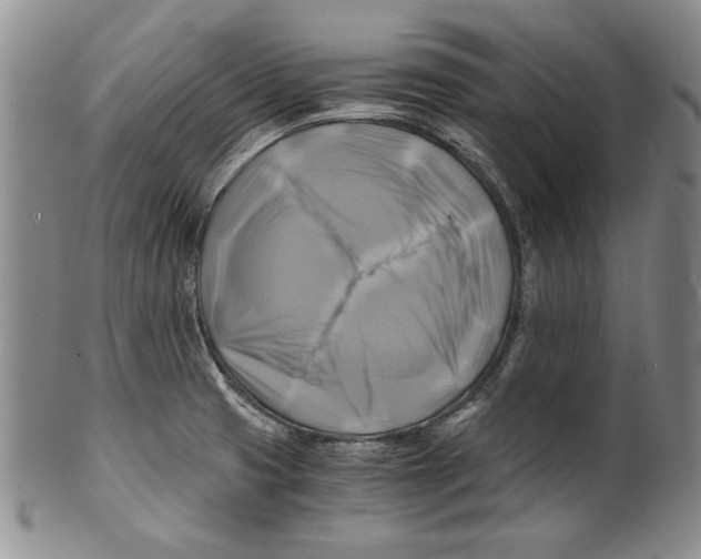 X0000100761425200807171331