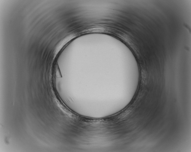 X0000100761426200807171331