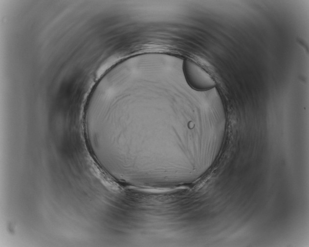 X0000100761427200807171331