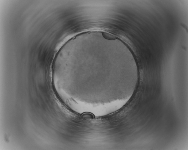 X0000100761428200807171331