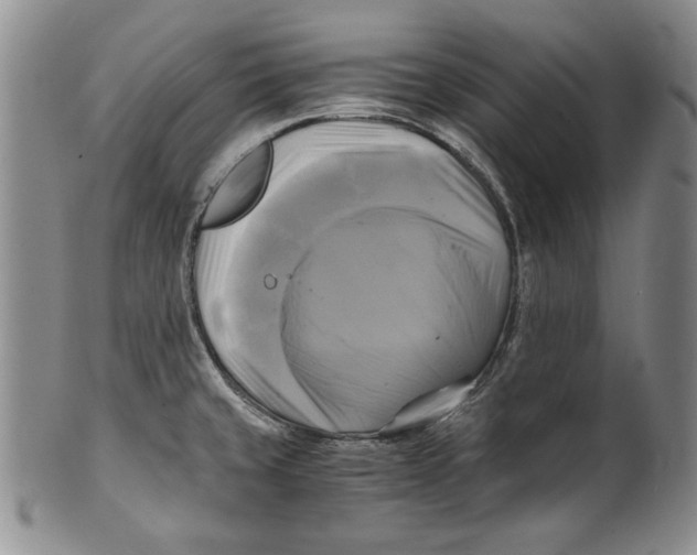 X0000100761429200807171331