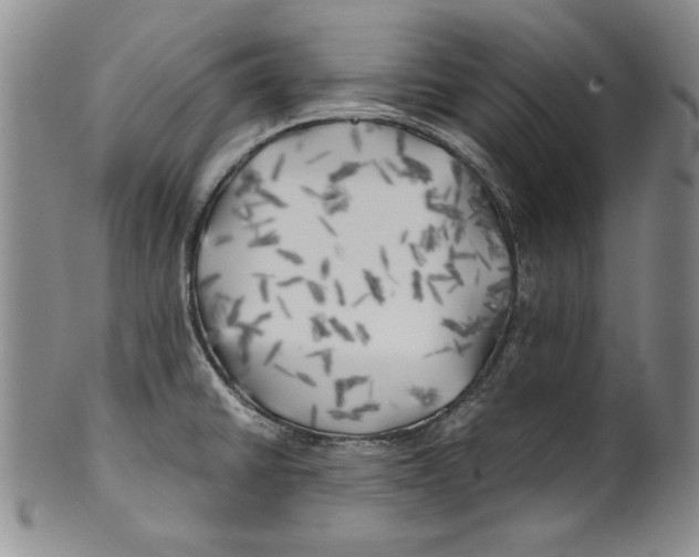 X0000100761430200807171331