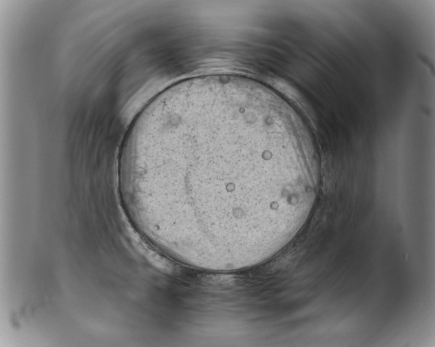 X0000100761431200807171331