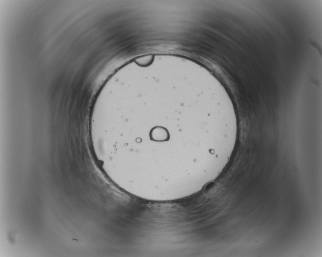 X0000100761432200807171331