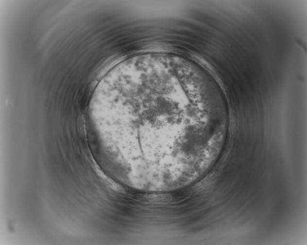 X0000100761433200807171331