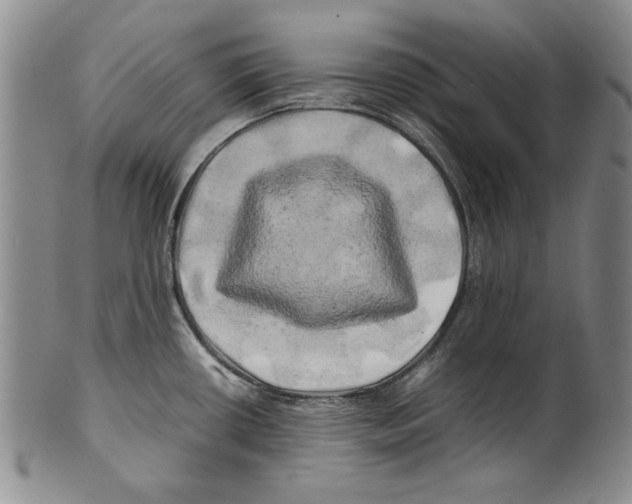 X0000100761434200807171331