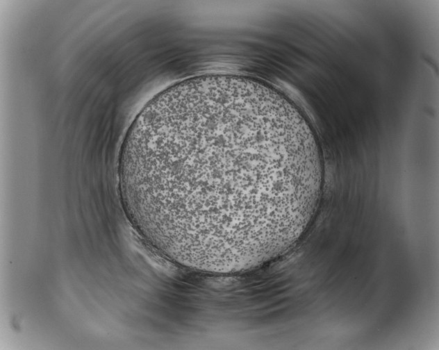 X0000100761435200807171331