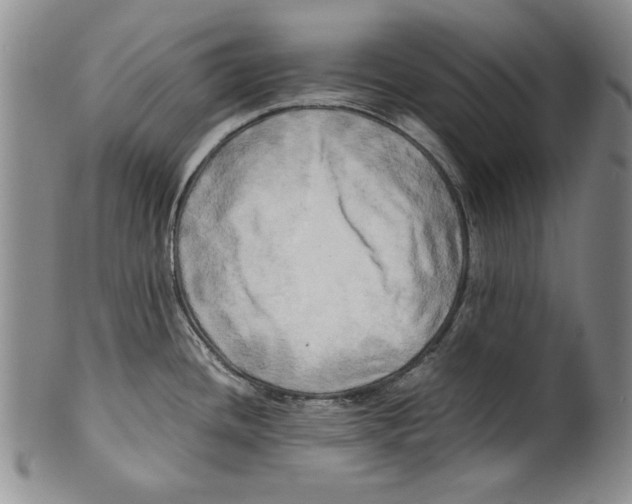 X0000100761436200807171331
