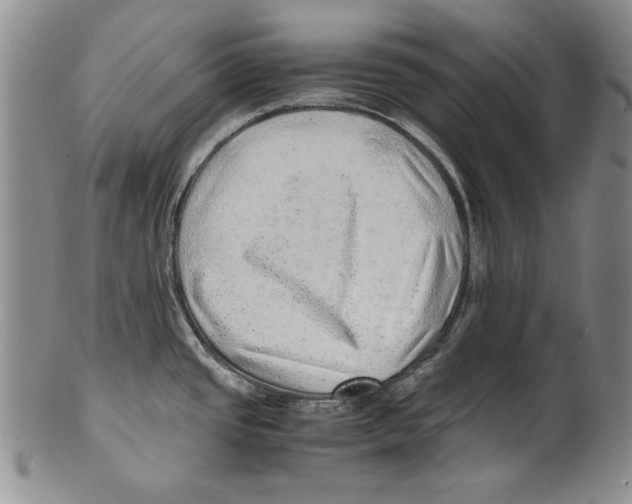 X0000100761437200807171331